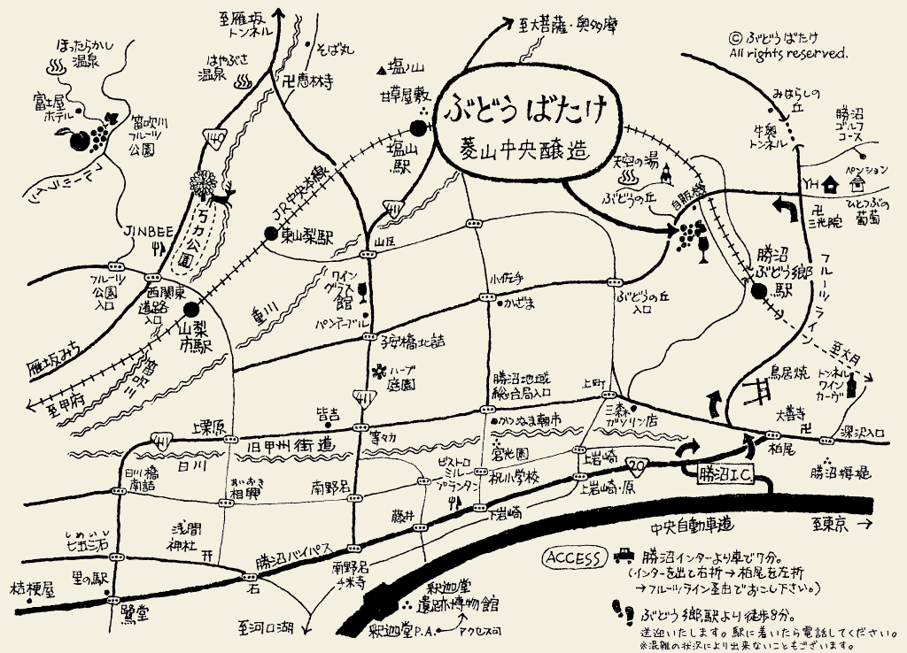 「ぶどうばたけ」があるのは山梨県勝沼町の最北にある菱山地区です。中央本線の「勝沼ぶどう郷駅」から徒歩10分、クルマで3分の場所にあります。標高500m前後の南西の傾斜地になります。