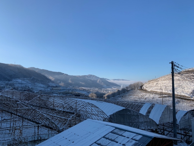 勝沼も雪景色