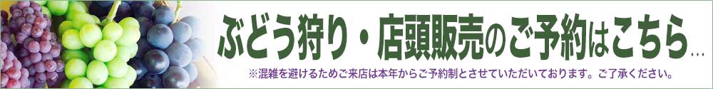 ぶどう狩り・店頭販売のご予約はこちらから...