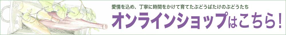 オンラインショップはこちら！